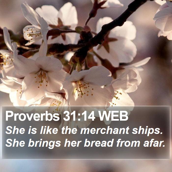 Proverbs 31:14 WEB Bible Study