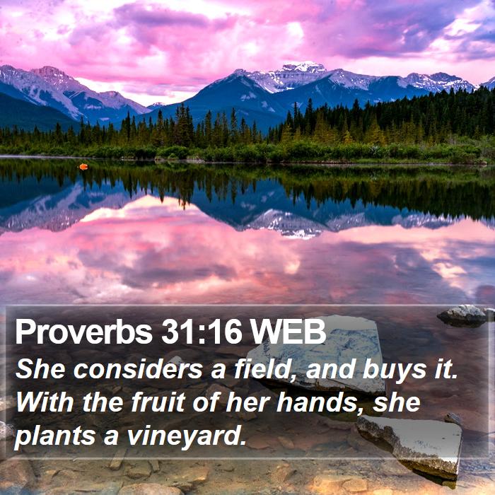 Proverbs 31:16 WEB Bible Study