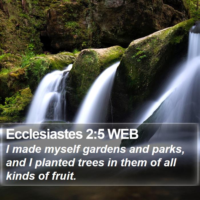 Ecclesiastes 2:5 WEB Bible Study