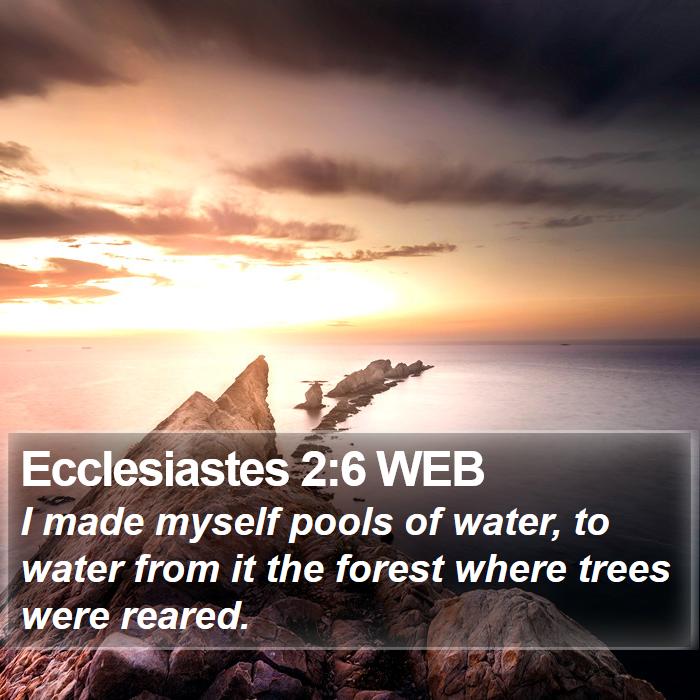 Ecclesiastes 2:6 WEB Bible Study