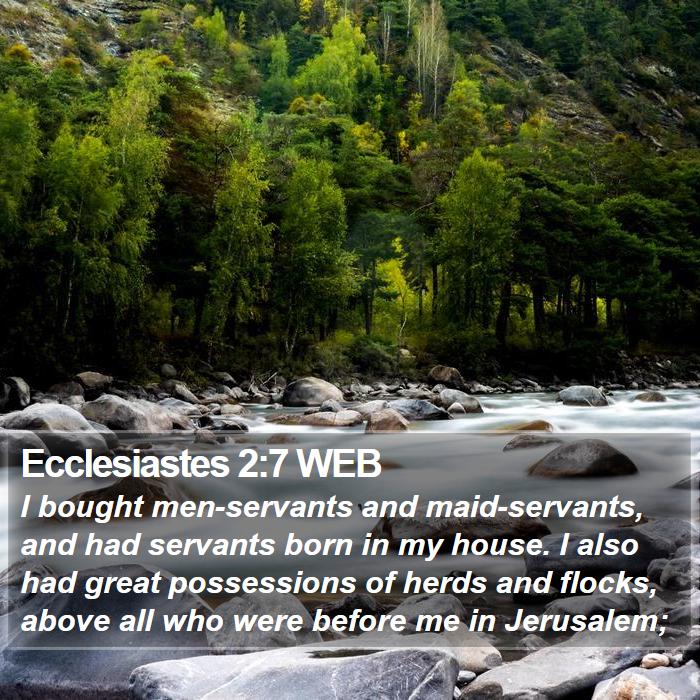 Ecclesiastes 2:7 WEB Bible Study