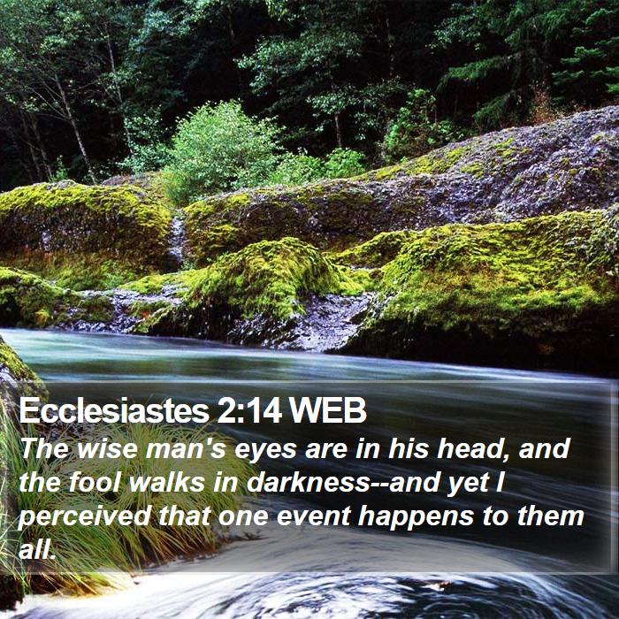 Ecclesiastes 2:14 WEB Bible Study