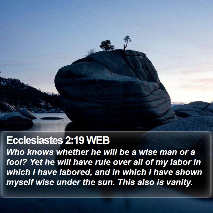 Ecclesiastes 2:19 WEB Bible Study