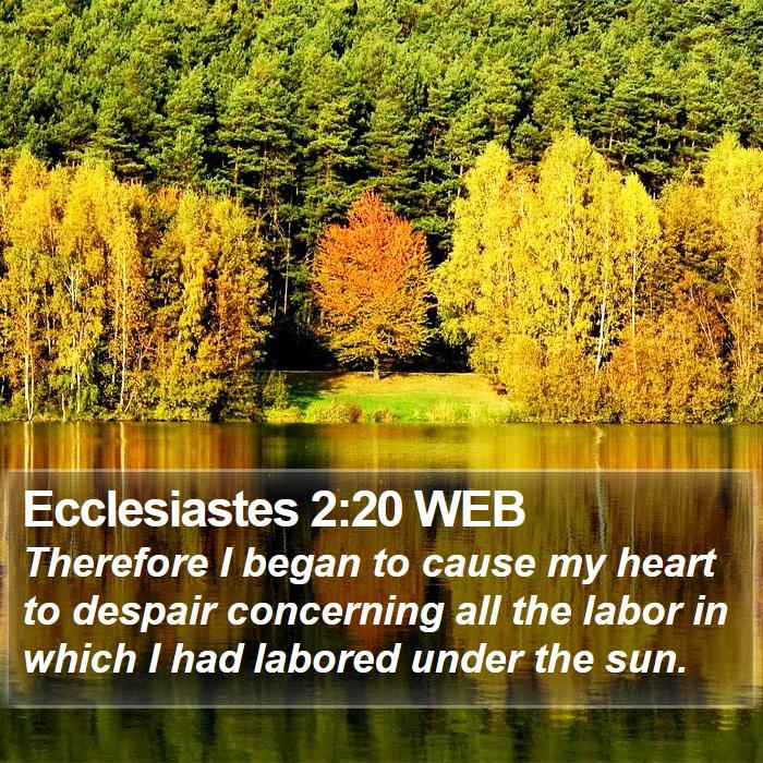 Ecclesiastes 2:20 WEB Bible Study