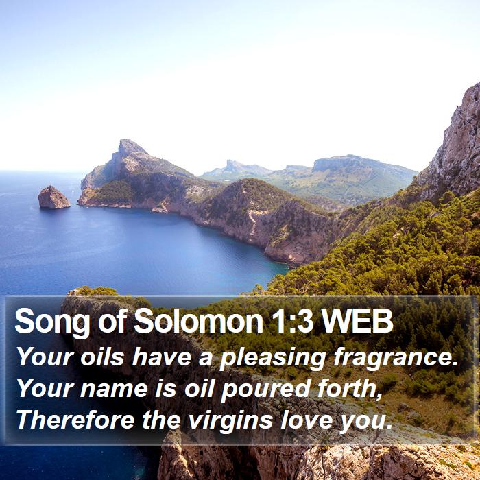 Song of Solomon 1:3 WEB Bible Study