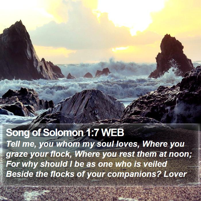 Song of Solomon 1:7 WEB Bible Study