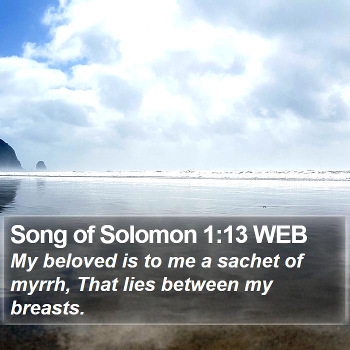 Song of Solomon 1:13 WEB Bible Study