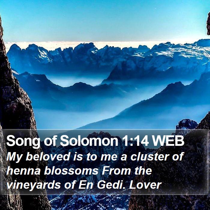 Song of Solomon 1:14 WEB Bible Study