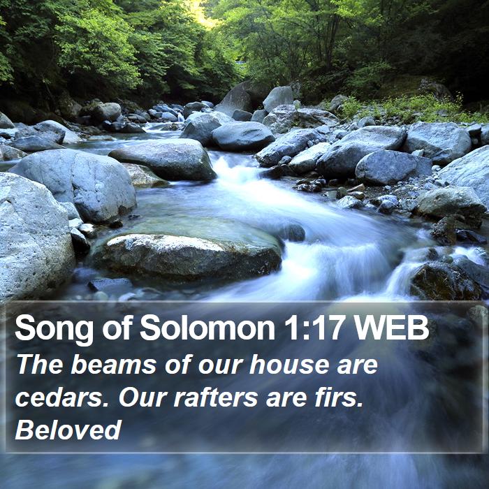 Song of Solomon 1:17 WEB Bible Study