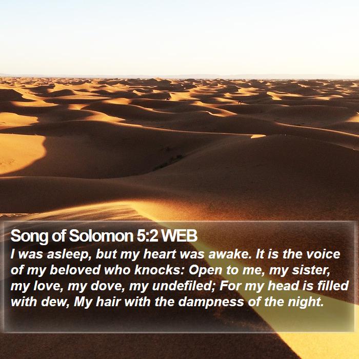 Song of Solomon 5:2 WEB Bible Study