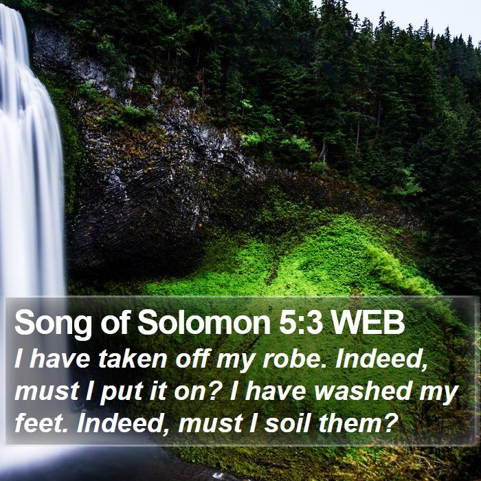 Song of Solomon 5:3 WEB Bible Study