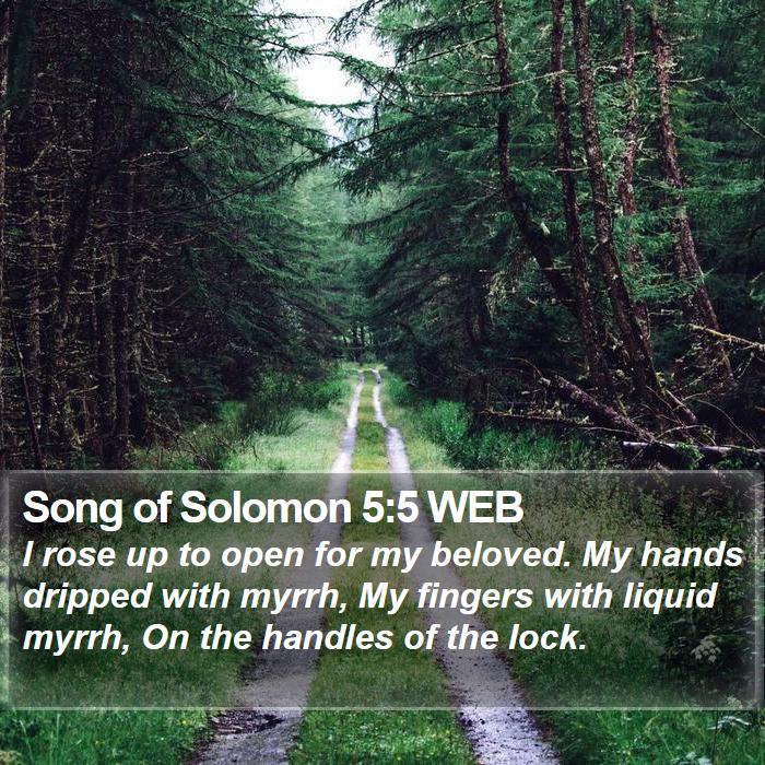 Song of Solomon 5:5 WEB Bible Study