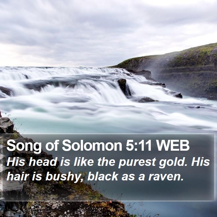 Song of Solomon 5:11 WEB Bible Study