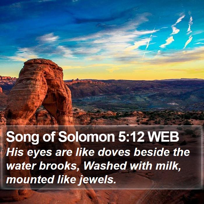 Song of Solomon 5:12 WEB Bible Study