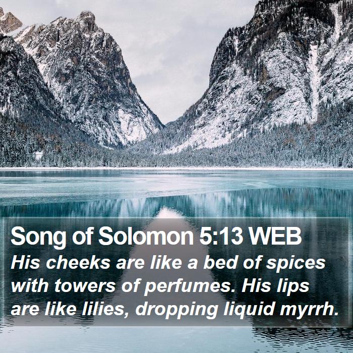 Song of Solomon 5:13 WEB Bible Study