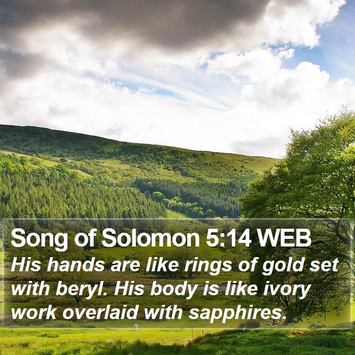 Song of Solomon 5:14 WEB Bible Study