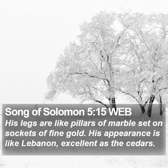 Song of Solomon 5:15 WEB Bible Study