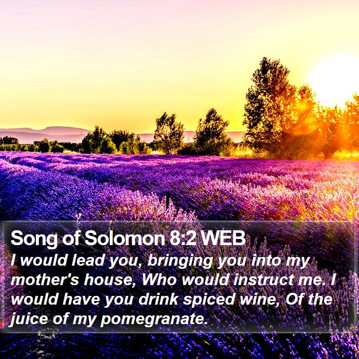 Song of Solomon 8:2 WEB Bible Study