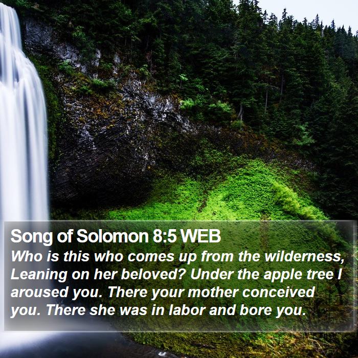 Song of Solomon 8:5 WEB Bible Study