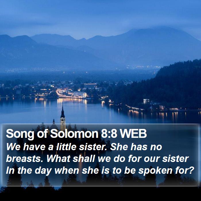 Song of Solomon 8:8 WEB Bible Study