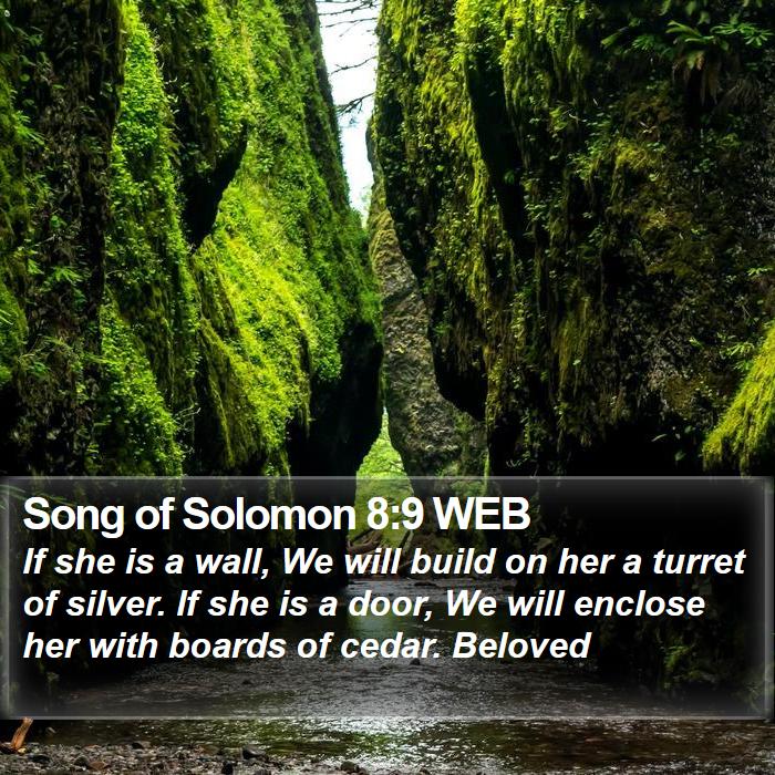 Song of Solomon 8:9 WEB Bible Study