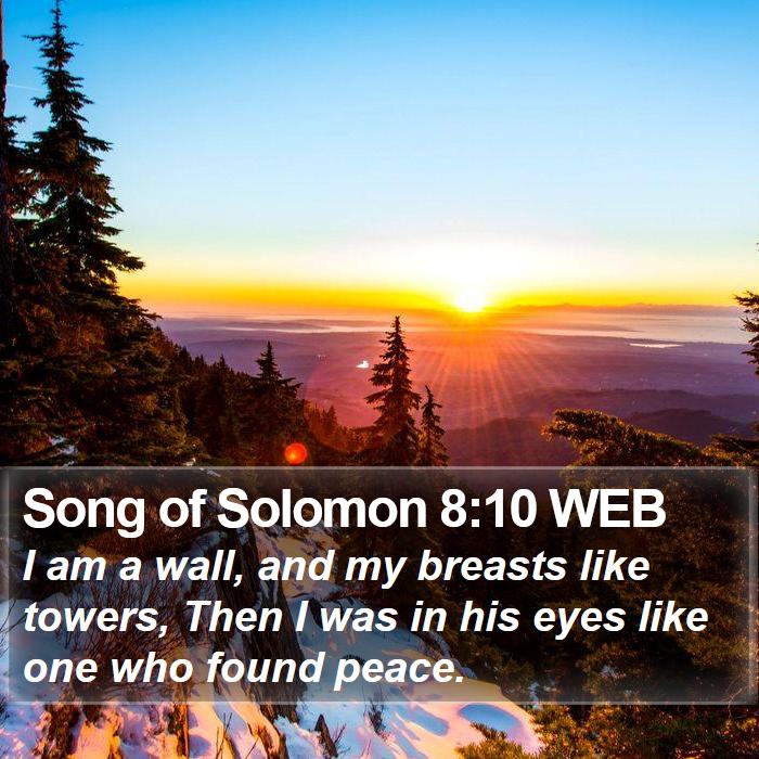 Song of Solomon 8:10 WEB Bible Study