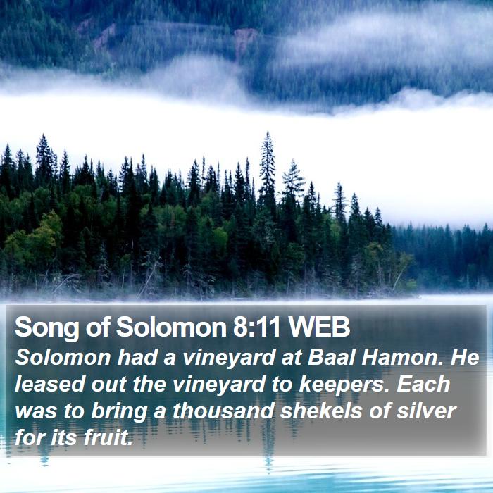 Song of Solomon 8:11 WEB Bible Study