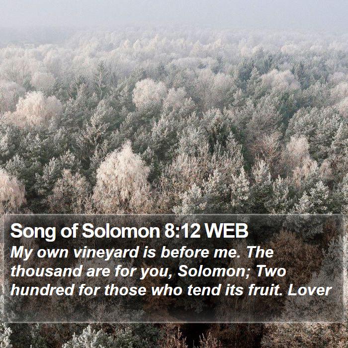 Song of Solomon 8:12 WEB Bible Study