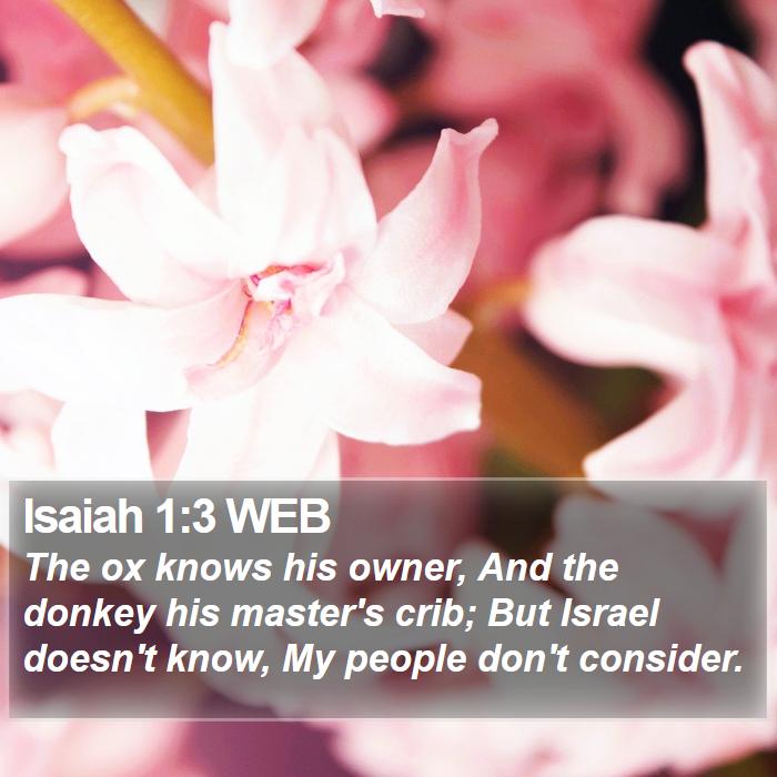 Isaiah 1:3 WEB Bible Study