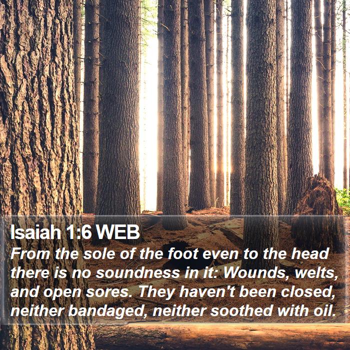 Isaiah 1:6 WEB Bible Study