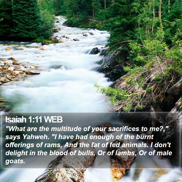 Isaiah 1:11 WEB Bible Study