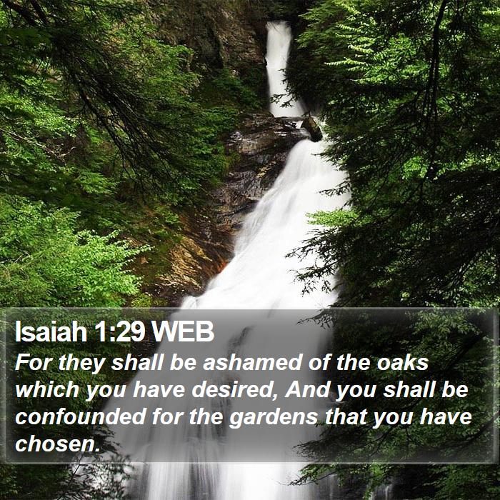 Isaiah 1:29 WEB Bible Study