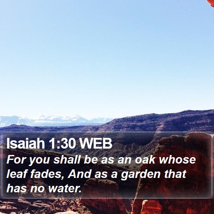 Isaiah 1:30 WEB Bible Study