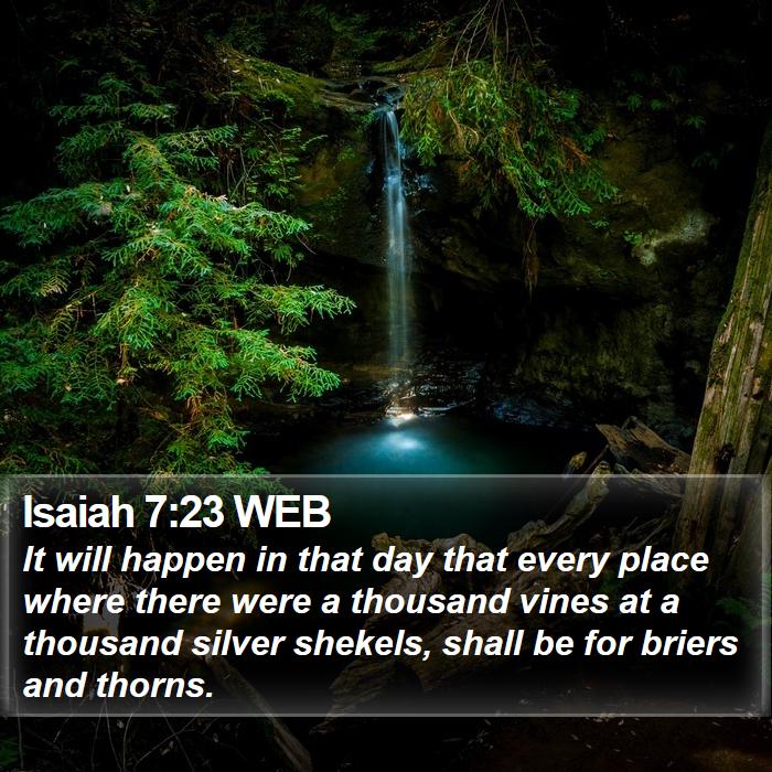 Isaiah 7:23 WEB Bible Study