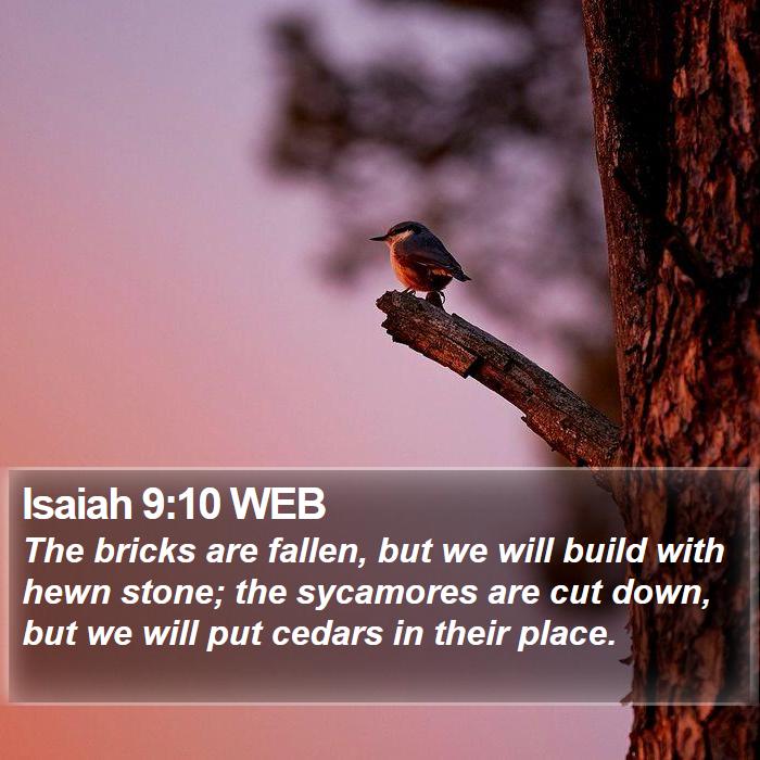 Isaiah 9:10 WEB Bible Study