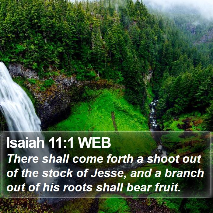 Isaiah 11:1 WEB Bible Study