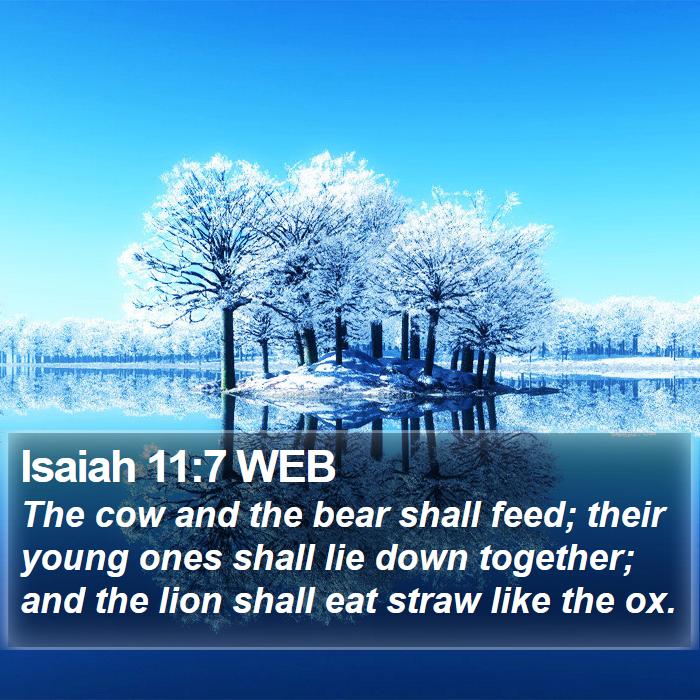 Isaiah 11:7 WEB Bible Study