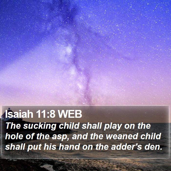 Isaiah 11:8 WEB Bible Study