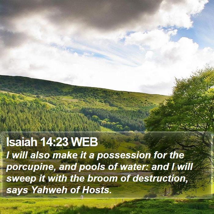 Isaiah 14:23 WEB Bible Study