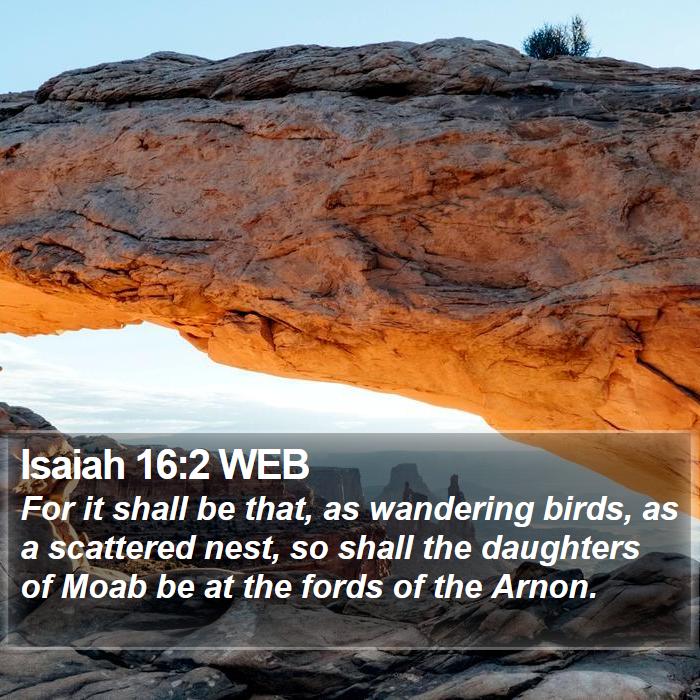 Isaiah 16:2 WEB Bible Study