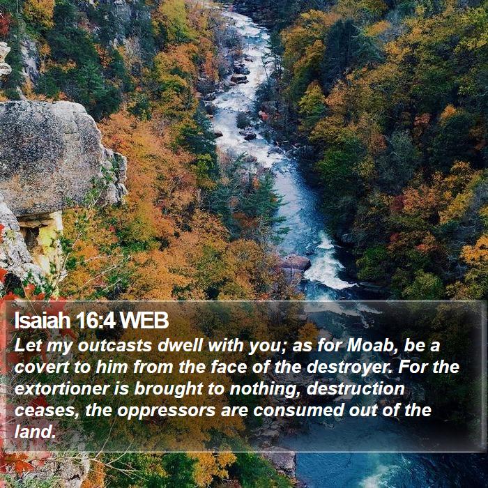 Isaiah 16:4 WEB Bible Study