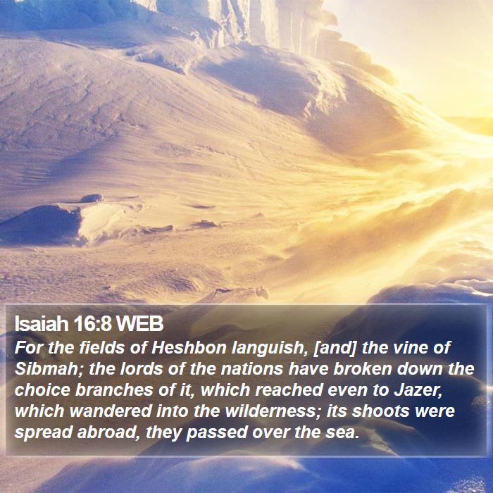 Isaiah 16:8 WEB Bible Study