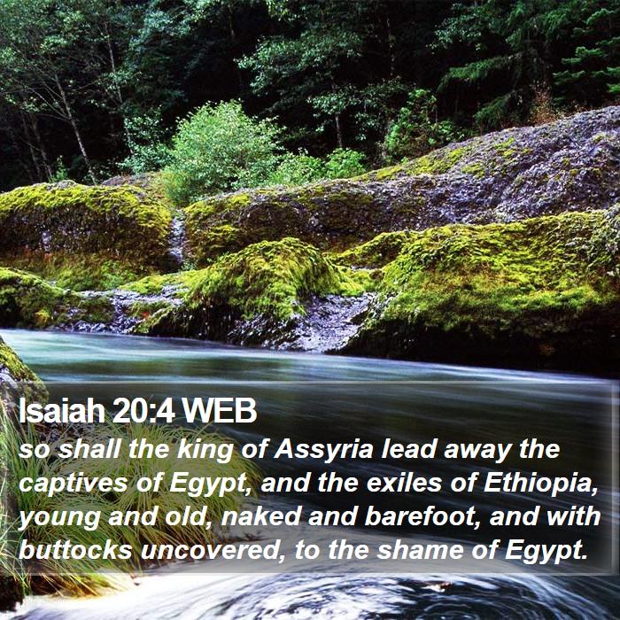 Isaiah 20:4 WEB Bible Study