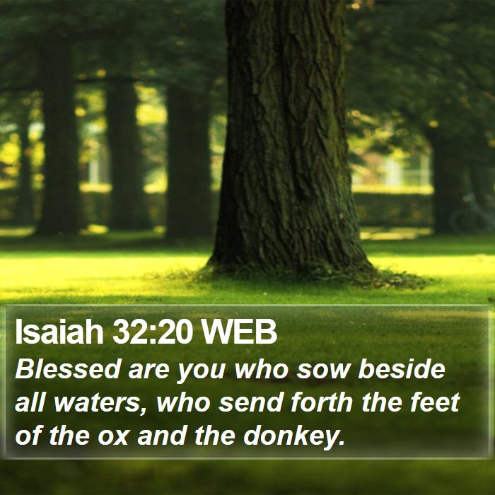 Isaiah 32:20 WEB Bible Study