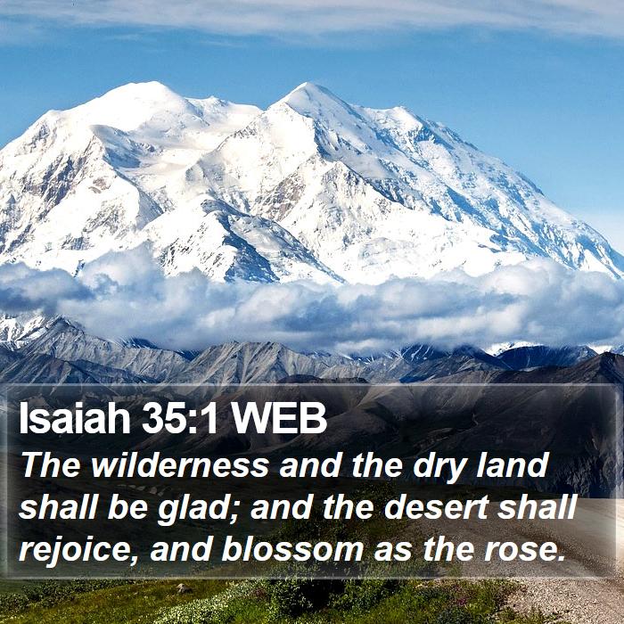 Isaiah 35:1 WEB Bible Study