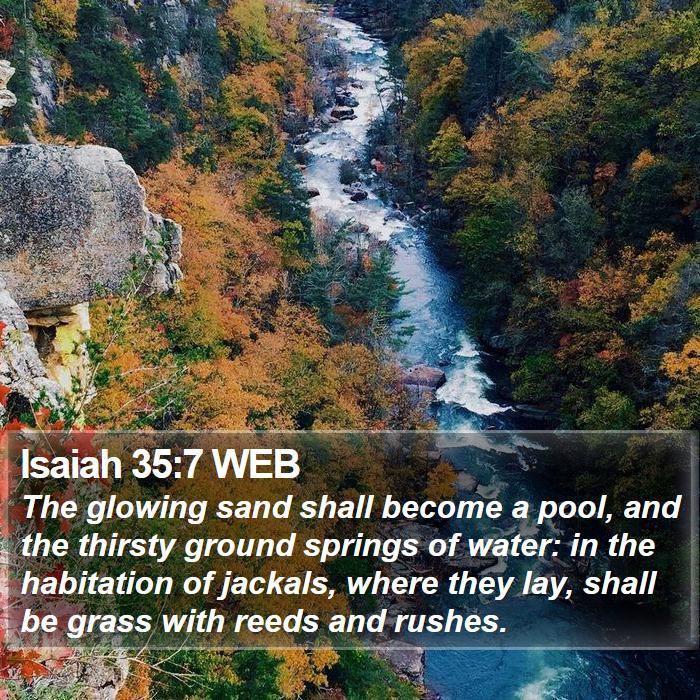 Isaiah 35:7 WEB Bible Study