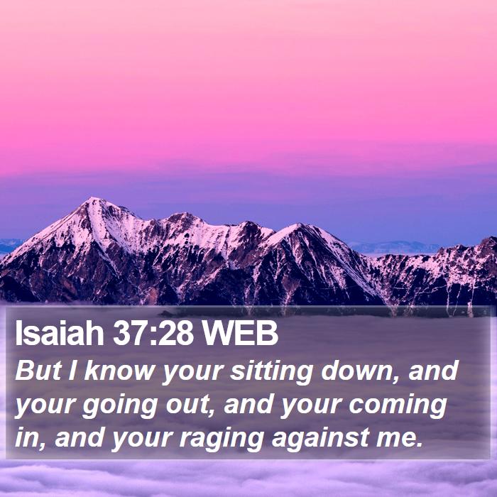 Isaiah 37:28 WEB Bible Study