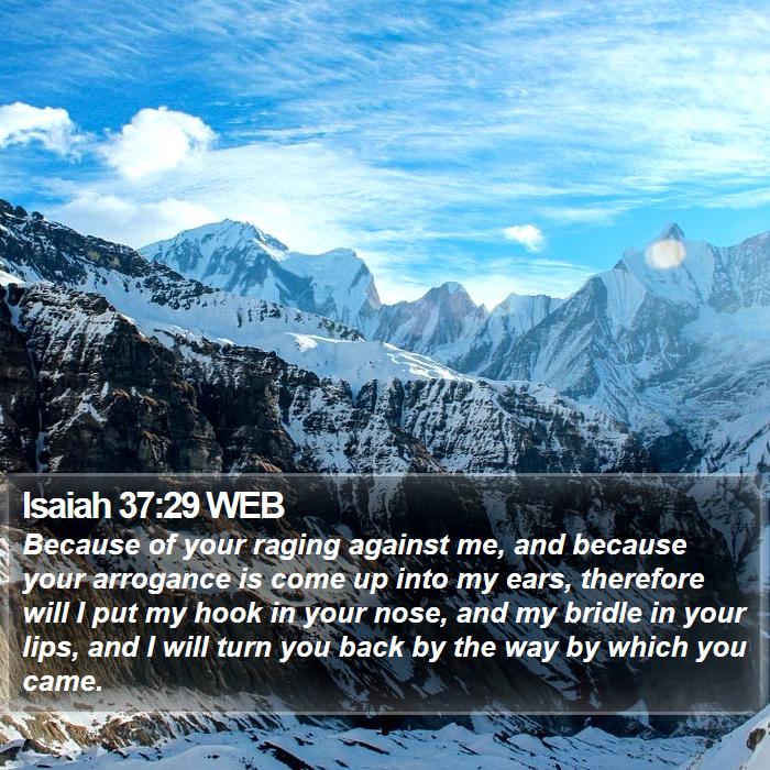 Isaiah 37:29 WEB Bible Study