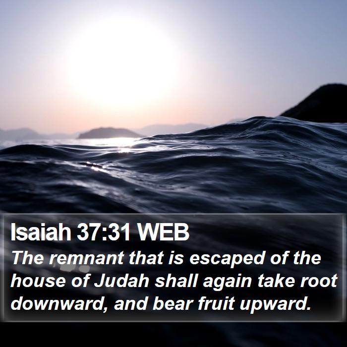 Isaiah 37:31 WEB Bible Study