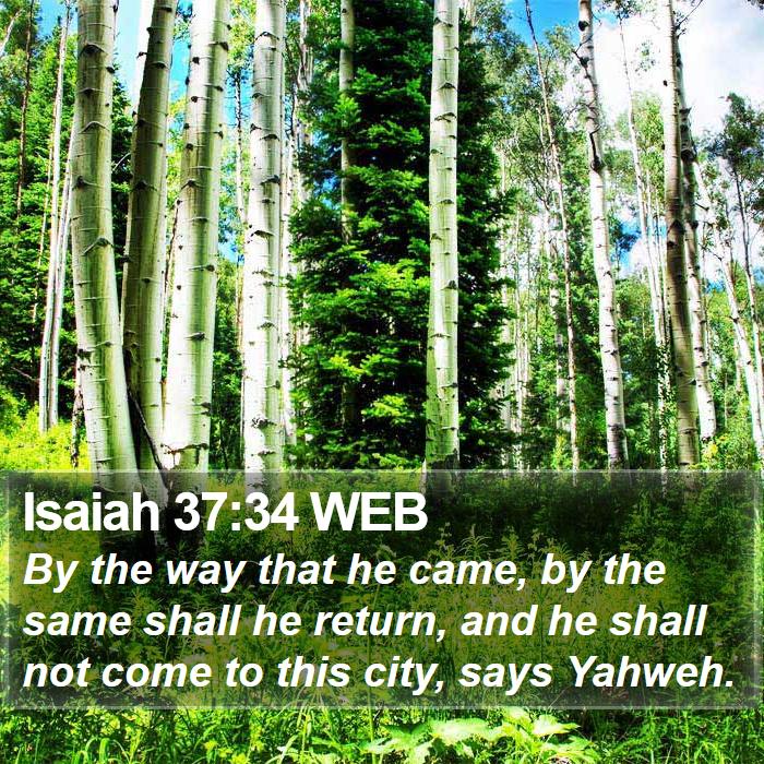 Isaiah 37:34 WEB Bible Study